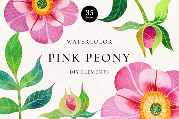 Download Pink Peony Watercolor DIY Elements - Element Collection