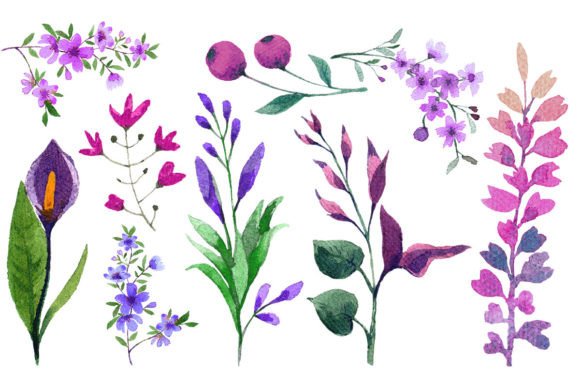 Download Watercolor Flower Elements Set - Element Collection