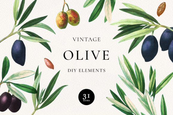 Download Vintage Olive DIY Elements - Element Collection