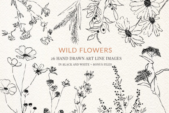 Download Wild Flowers Fine Line Clipart Hand Draw - Premium Resources