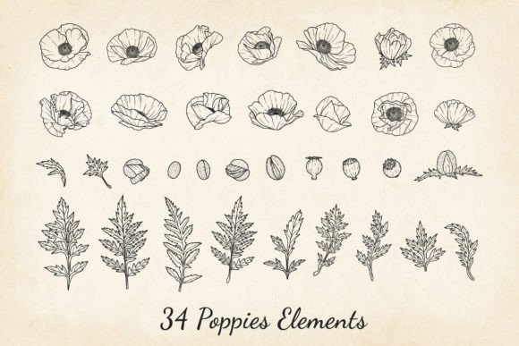 Download Poppies SVG, Poppy Fine Line Vector - Fine line Collection