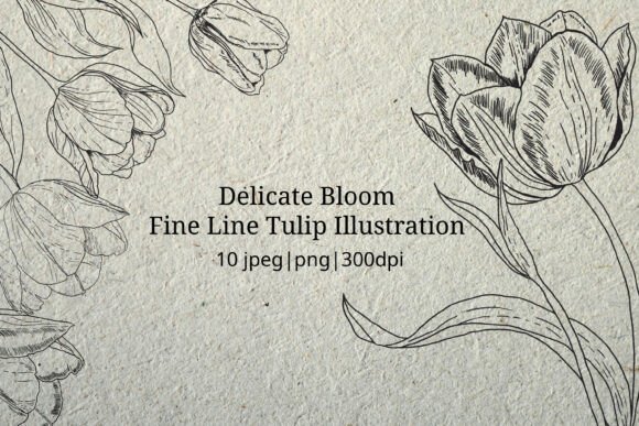 Download Delicate Bloom - Fine Line Illustration - Fine line Collection