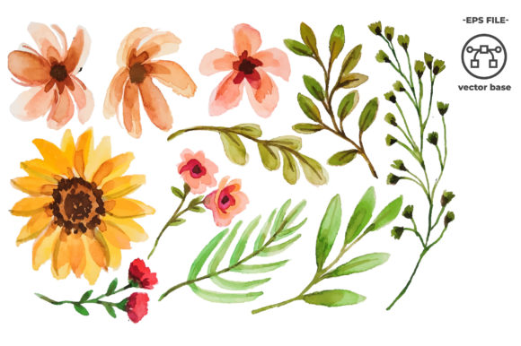 Download Watercolor Flower Elements - Element Collection