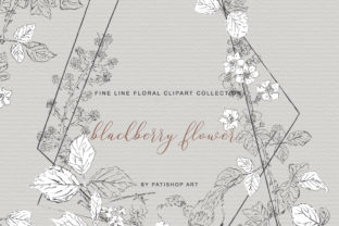 Download Hand Drawn Fine Line Clipart Blackberry - Fine line Collection