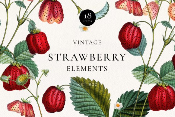 Download Vintage Strawberry Plant DIY Elements - Element Collection